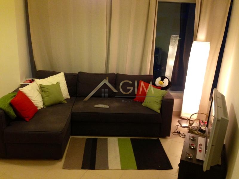 Fully Furnished 1 Bedroom Apt For Rent In Burj View