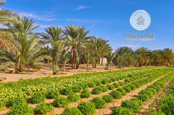 Farm In Al Ain _ Abu Dhabi (Frm_45)