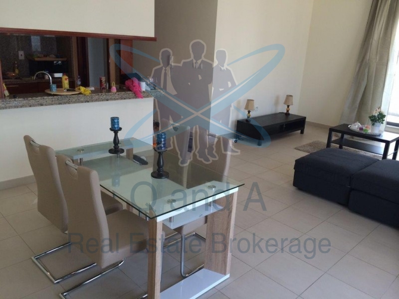 Fully Furnished Apartment In South Ridge 1